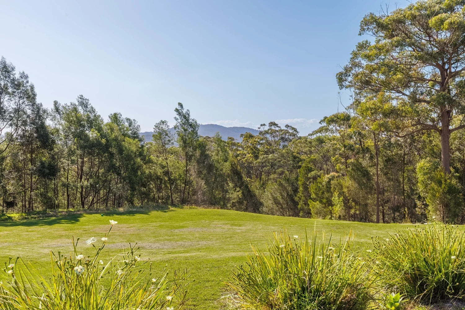 Additional image 17 of 41 Kiaka Road, Nethercote NSW 2549