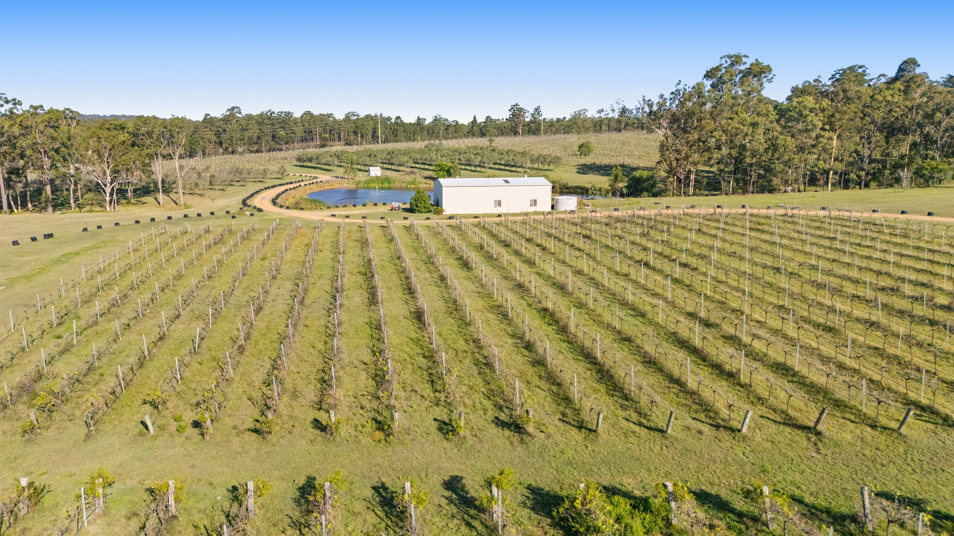 Additional image 9 of 356 Tuckers Lane, Greta NSW 2334