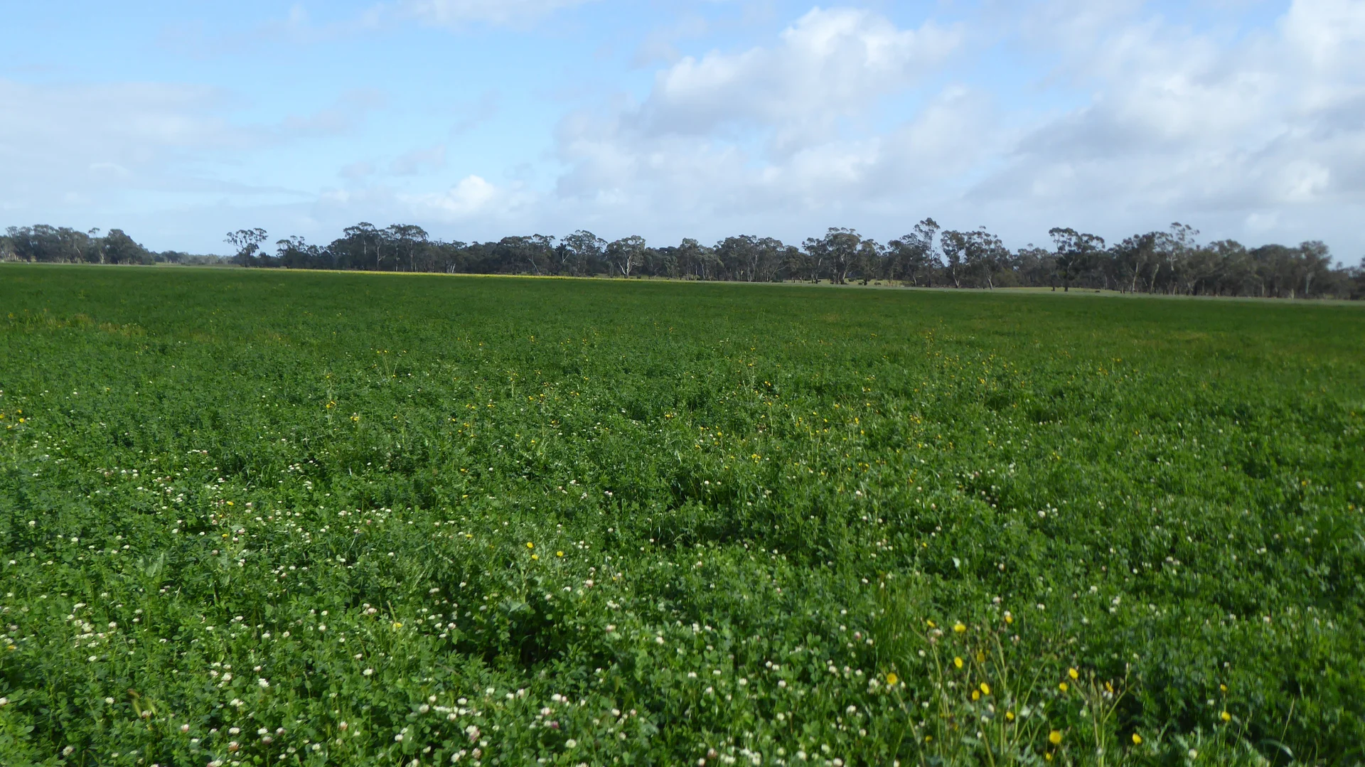 Additional image 7 of 2448 Bangham Road, Frances SA 5262