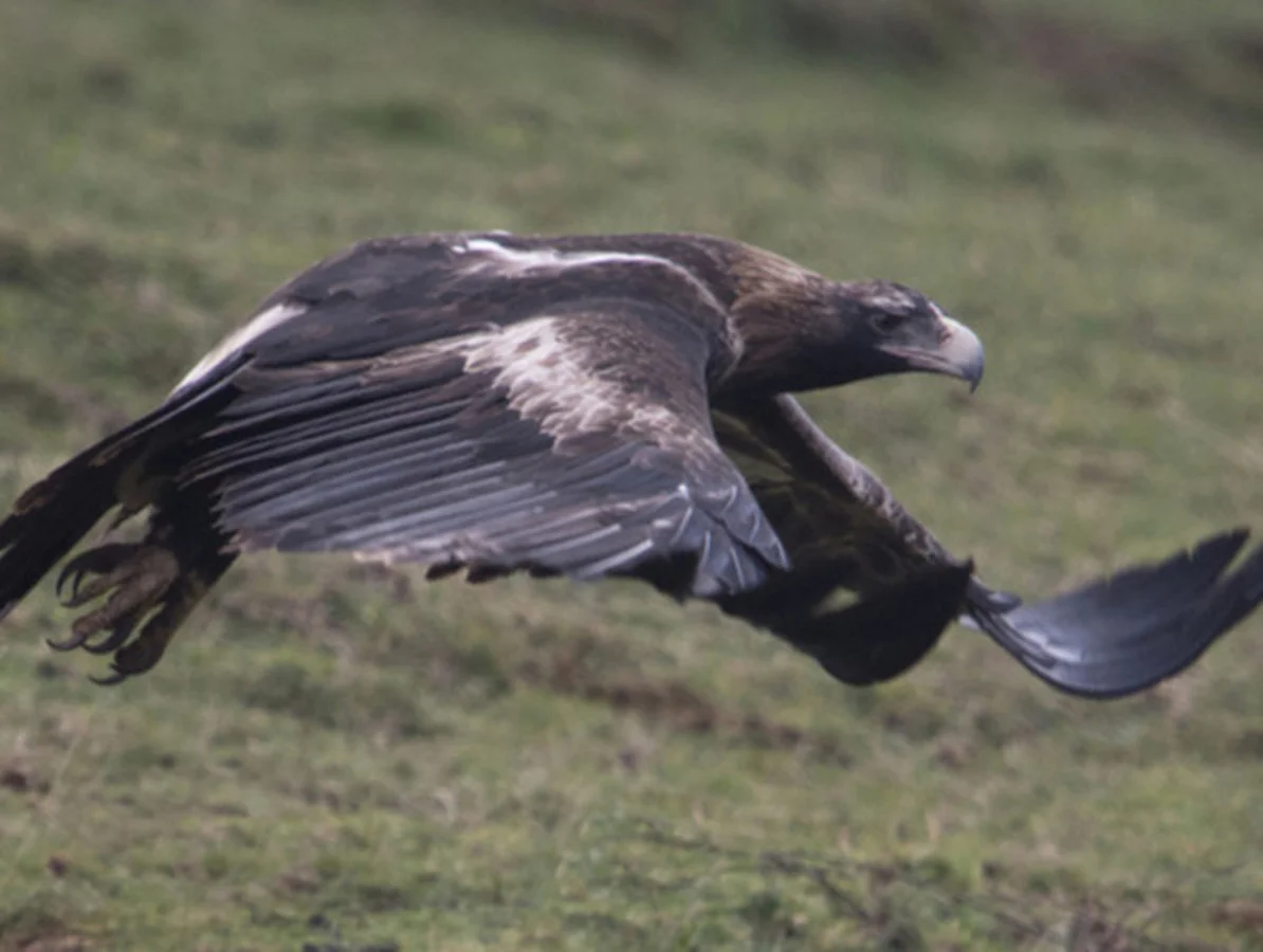 Additional image 33 of 1079 Preston Road, North Motton TAS 7315