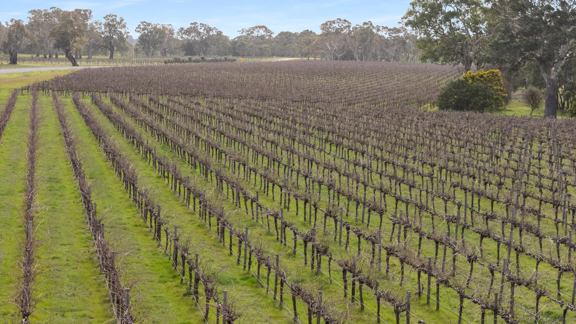 Additional image 11 of Lot 106/108 Dergholm Road, Penola SA 5277