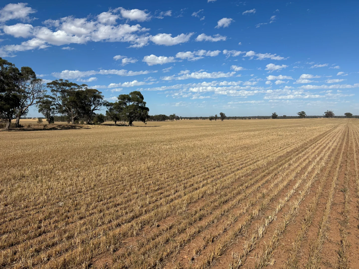 Additional image 10 of 00 Cnr Collins Road & Marktree Rd, Corop VIC 3559