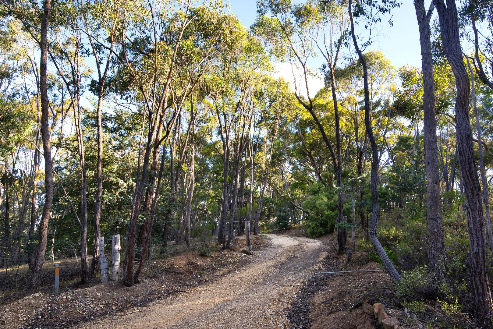 Additional image 14 of 101 Bush Sanctuary Road, Chewton Bushlands VIC 3451