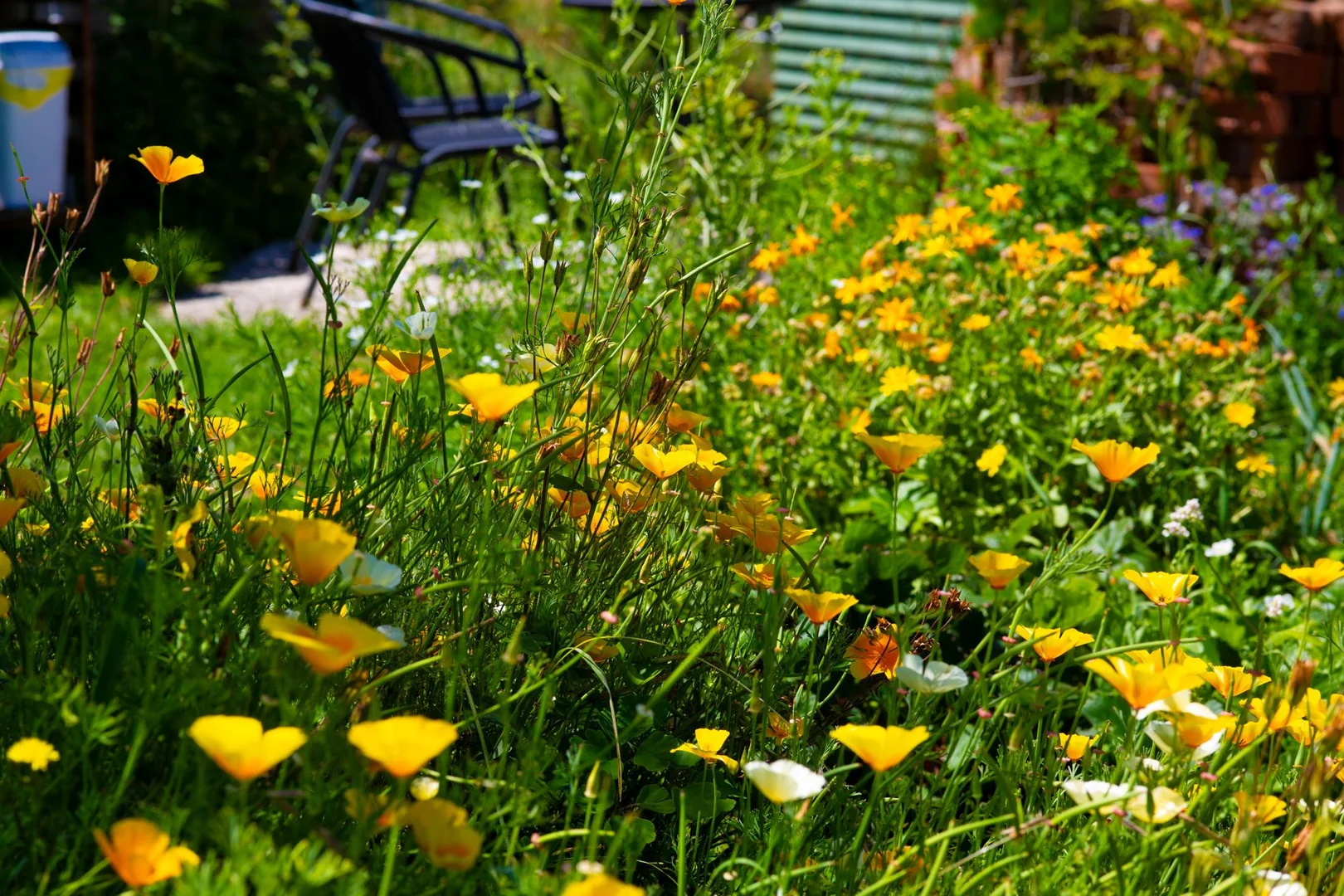 Additional image 28 of 21 Carisbrook Lane, Legerwood TAS 7263