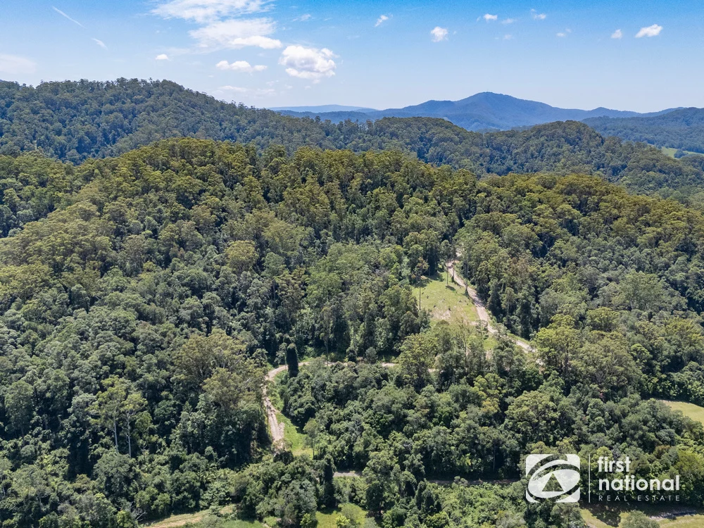 Additional image 27 of Lot 65 North Island Loop Road, Upper Orara NSW 2450