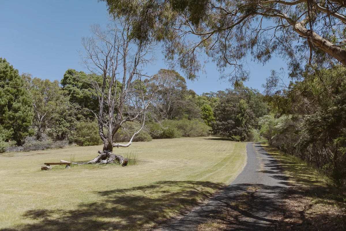 Additional image 29 of 531 Binalong Bay Road, St Helens TAS 7216