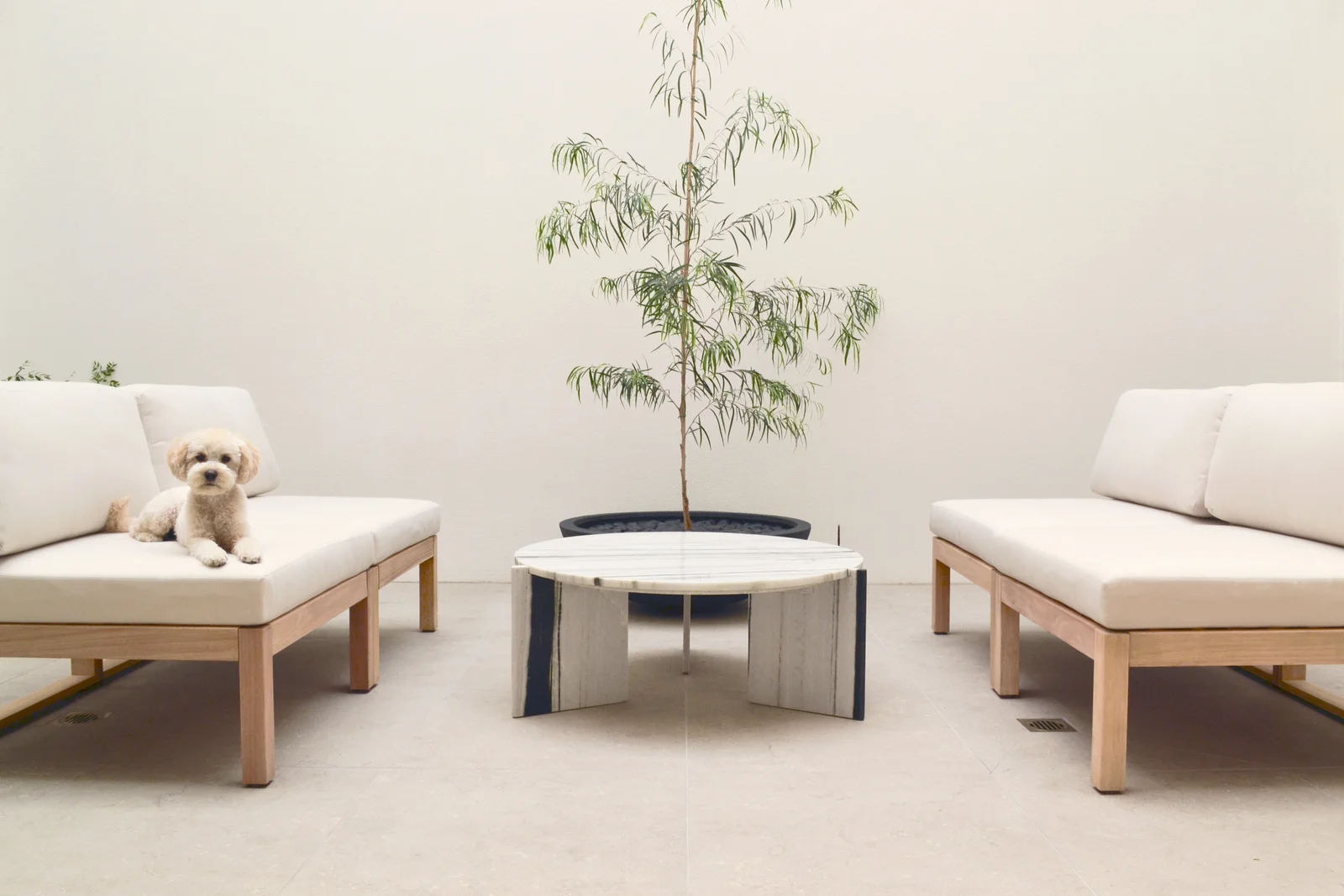 Additional image 9 of 35-37 Wakefield Street, Kensington VIC 3031