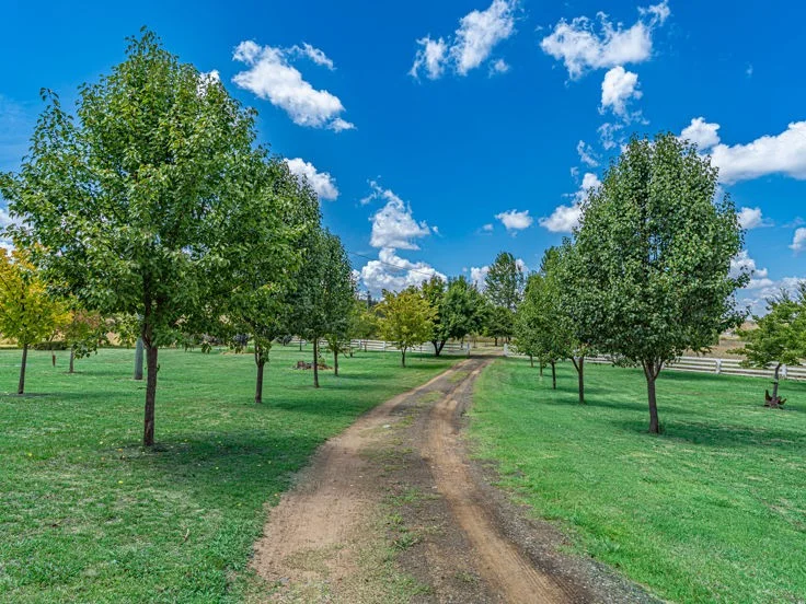 Additional image 13 of 37 Herbert Park Road, Armidale NSW 2350