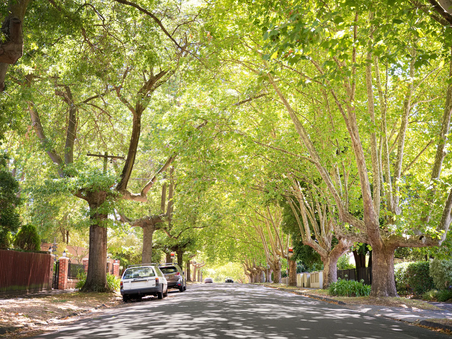 Additional image 16 of 25 Rochester Road, Canterbury VIC 3126