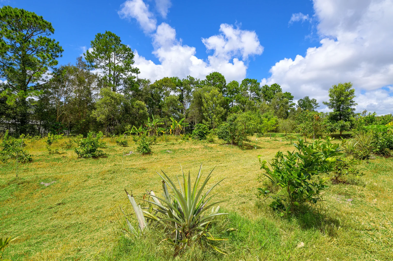 Additional image 14 of 47 Osborne Court, Wallu QLD 4570