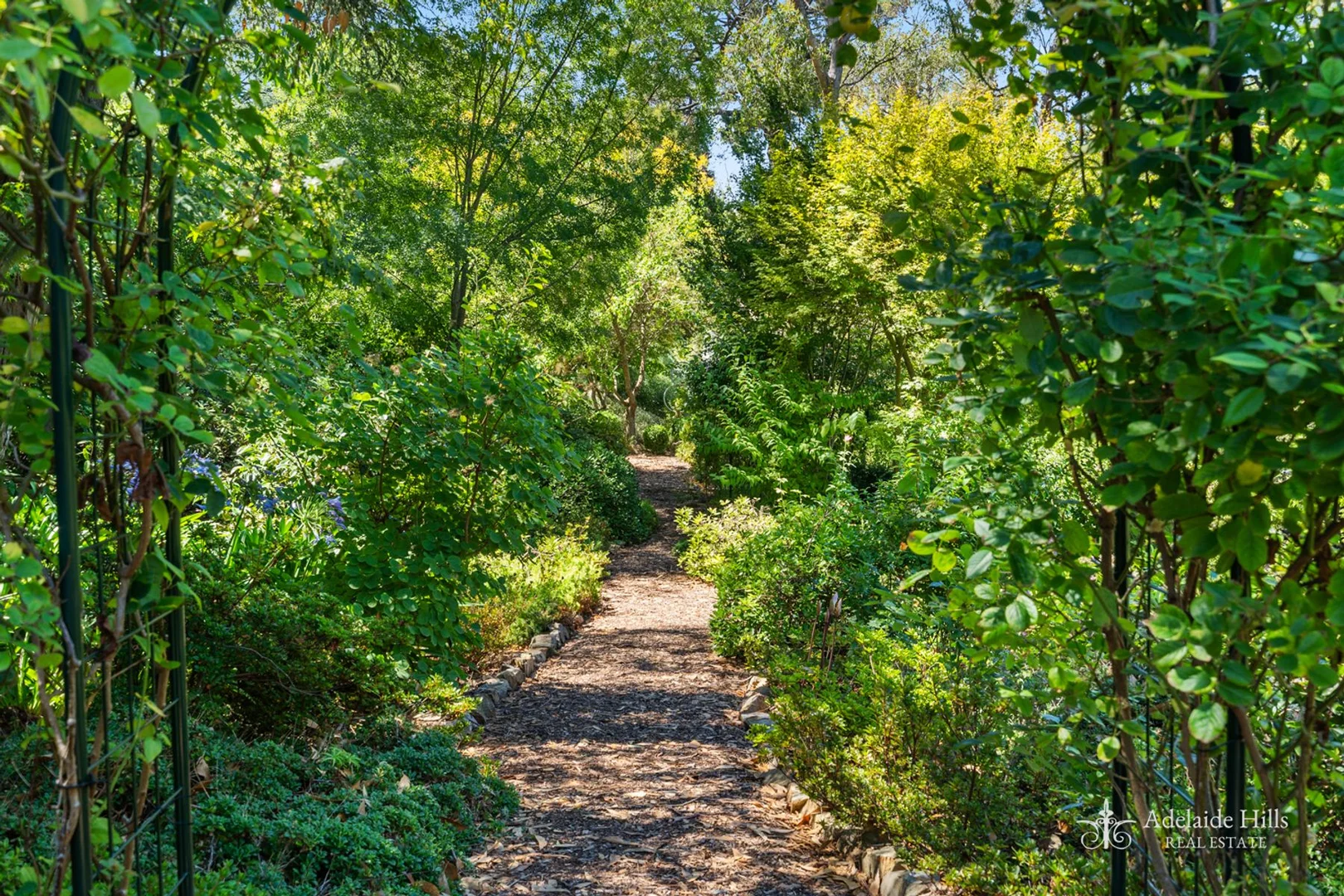 Additional image 22 of 6 Bracken Road, Stirling SA 5152