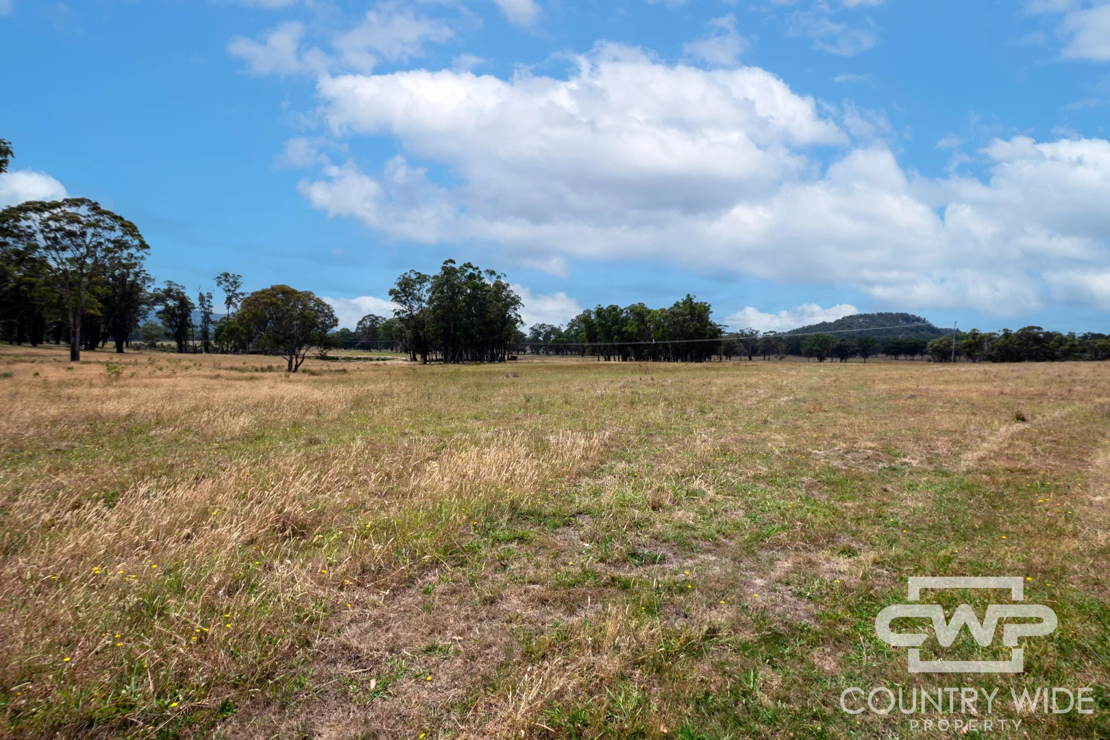 Additional image 8 of 320 Cemetery Road, Torrington NSW 2371