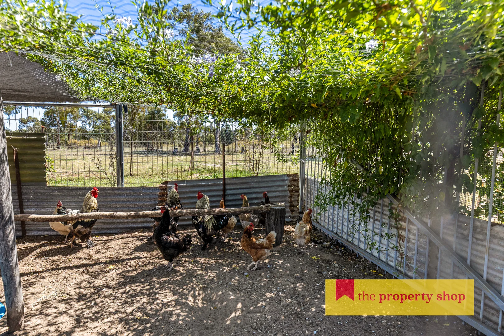 Additional image 14 of Mudgee NSW 2850