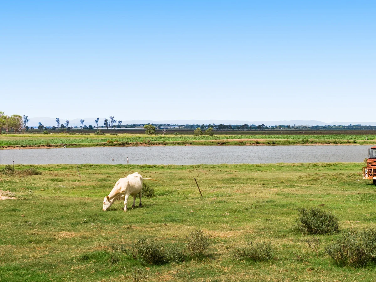Additional image 25 of 33 Blind Gully Road, Mount Tarampa QLD 4311