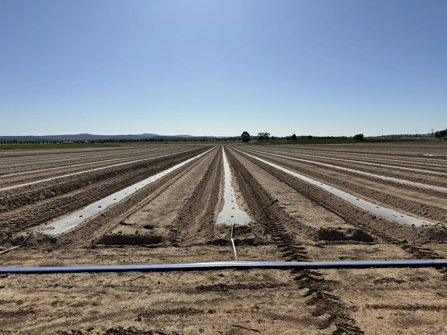 Additional image 18 of North Logan Road, Cowra NSW 2794