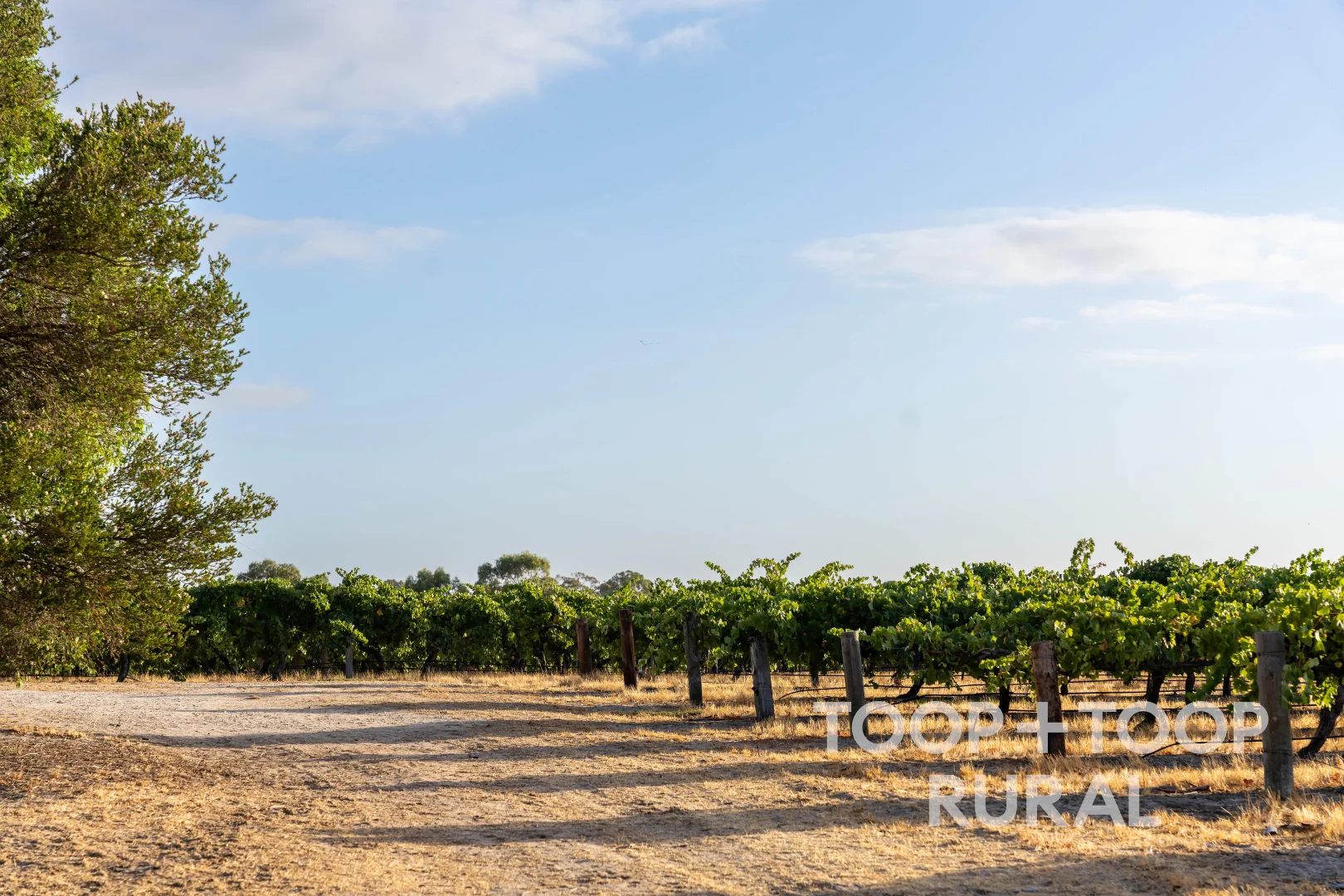 Additional image 43 of 145 Tolley Road, Nuriootpa SA 5355