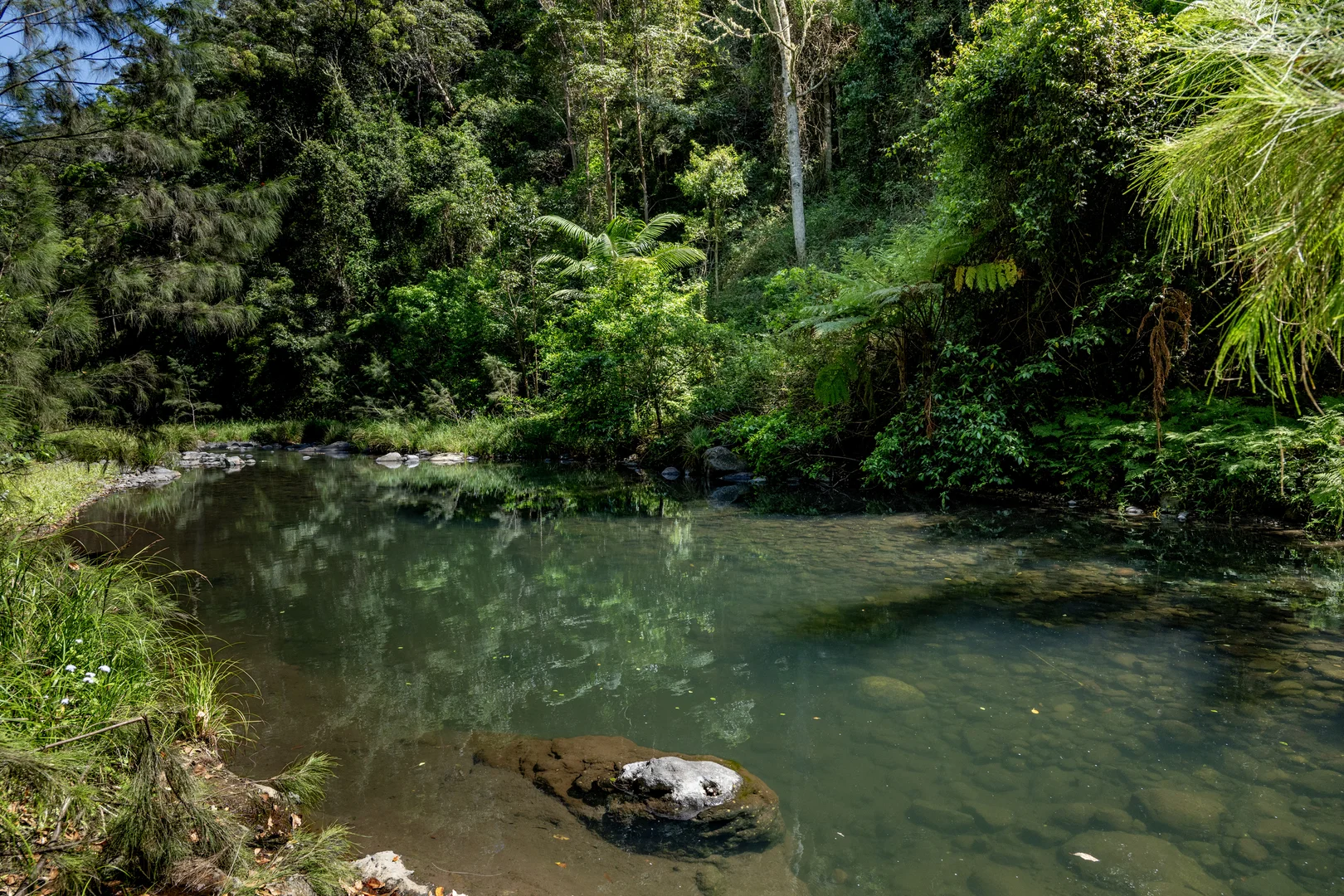 Additional image 31 of 3196 Christmas Creek Road, Lamington QLD 4285