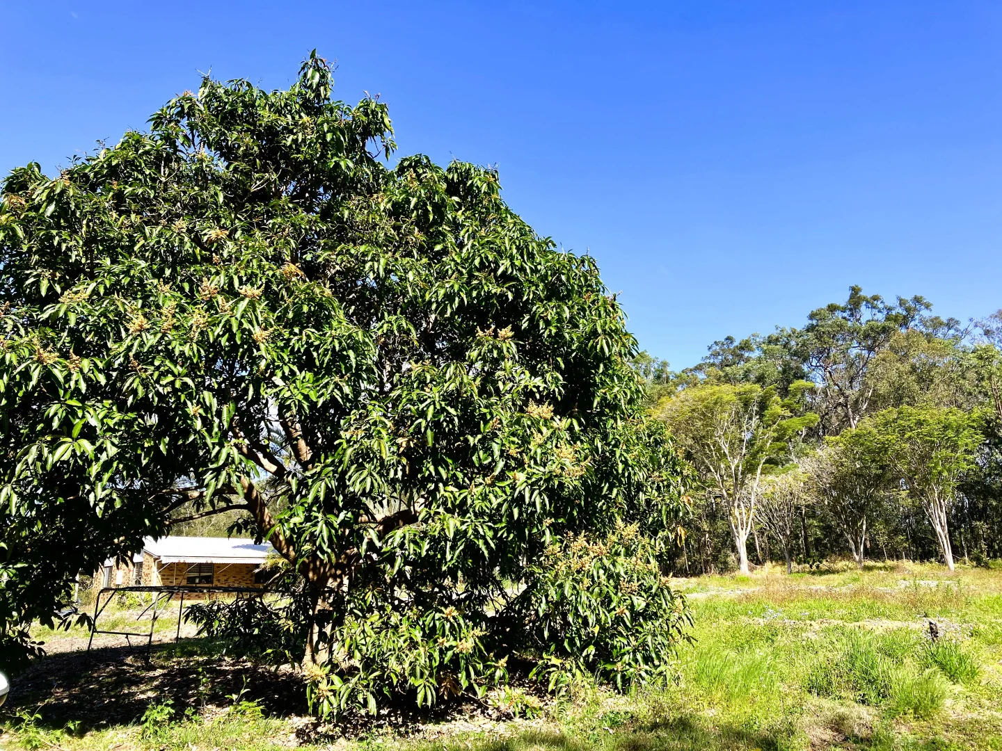 Additional image 5 of 119 Mount Mee Road, Delaneys Creek QLD 4514