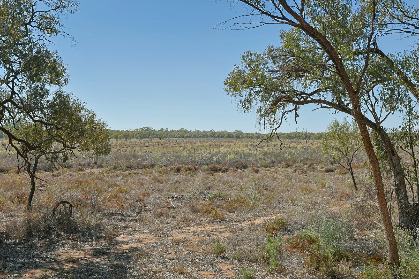 Additional image 2 of 20 Psyche Bend Road, Irymple VIC 3498