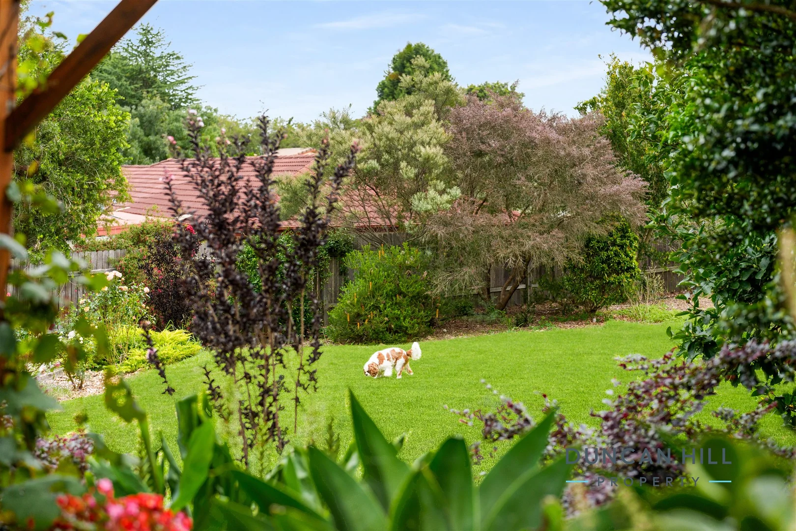 Additional image 15 of 30 Mary Street, Mittagong NSW 2575