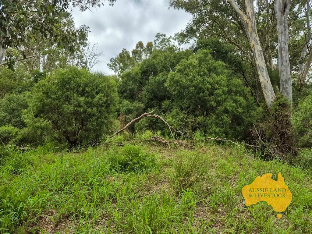 Additional image 26 of 296 Cloyna West Road, Cloyna QLD 4605