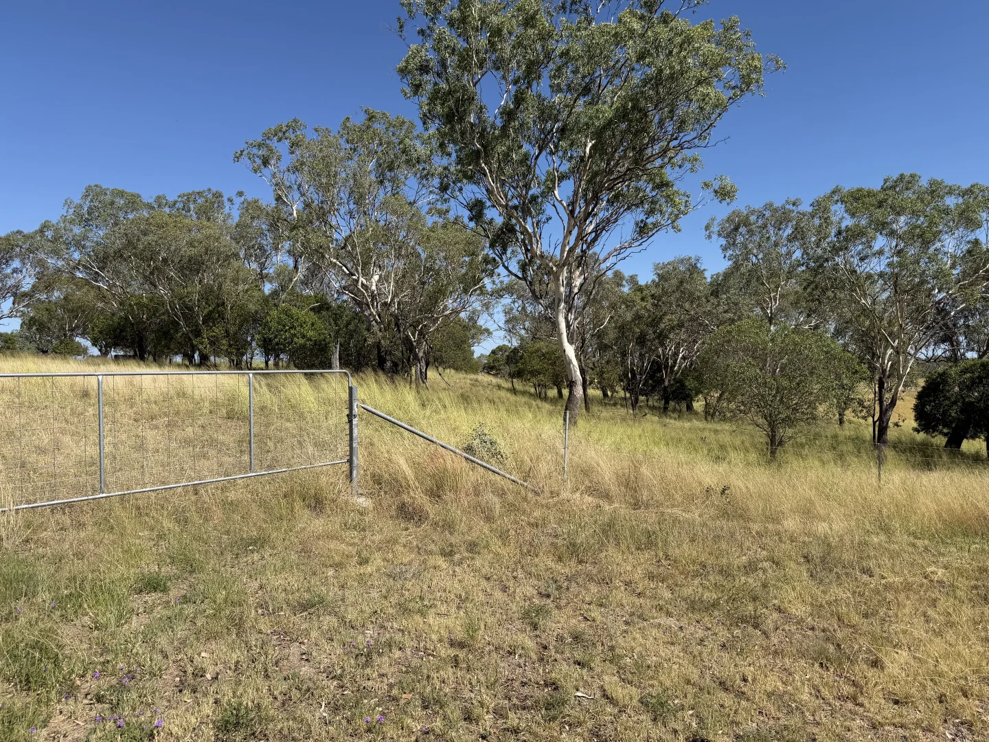 Additional image 15 of 242 Ehrlich Road, Linthorpe QLD 4356