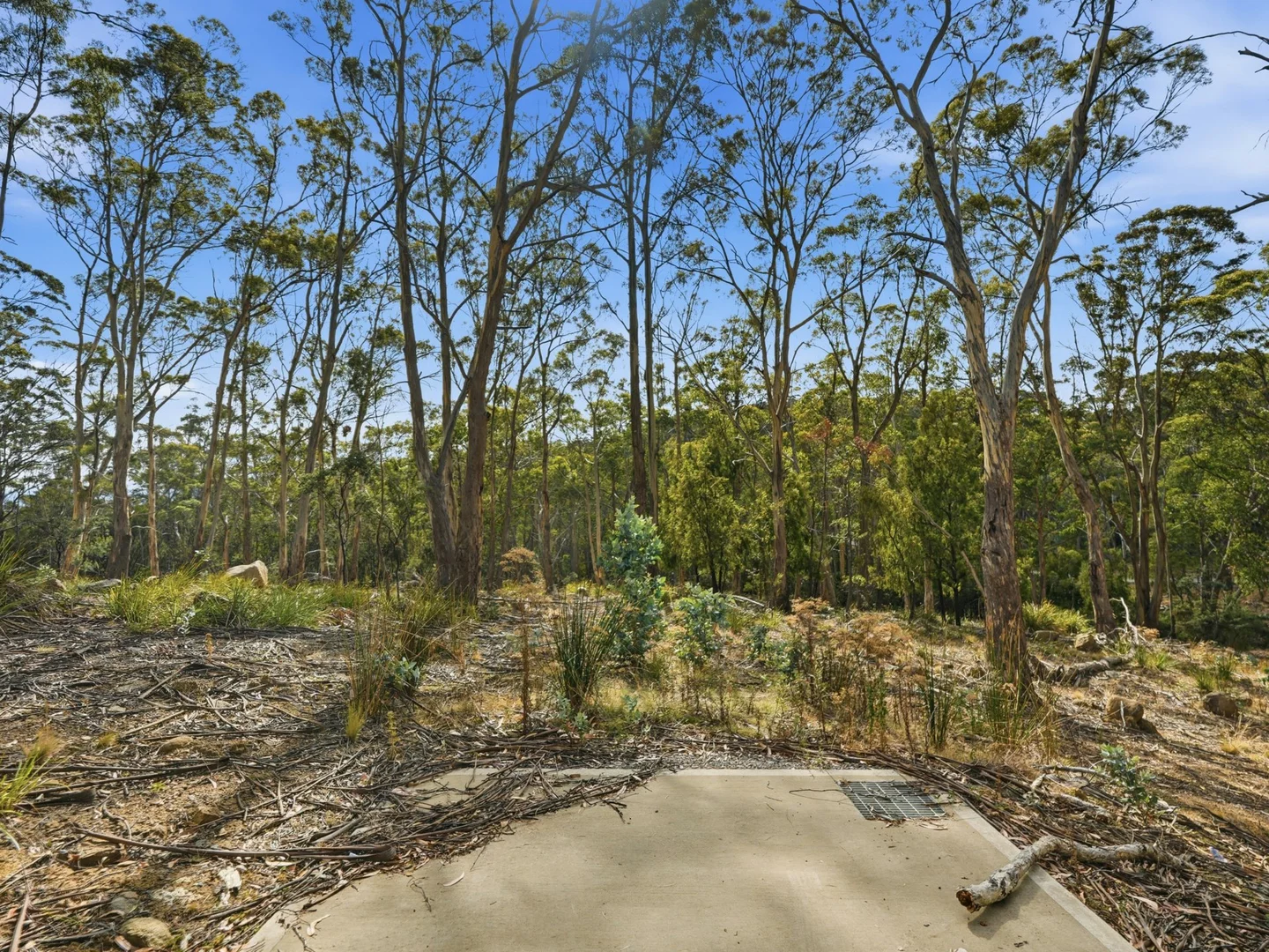 Additional image 5 of 11 Hargrave Place, Mount Nelson TAS 7007
