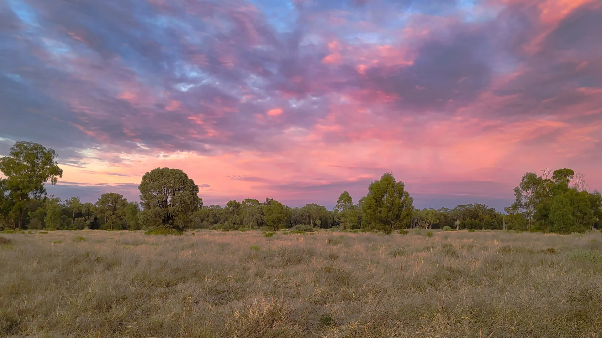 Additional image 28 of 296 Forest Way, Wee Waa NSW 2388