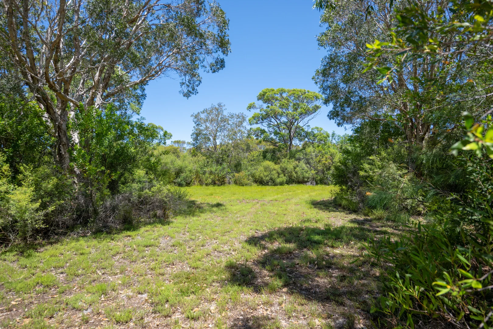 Additional image 28 of 2536 Solitary Islands Way, Arrawarra NSW 2456