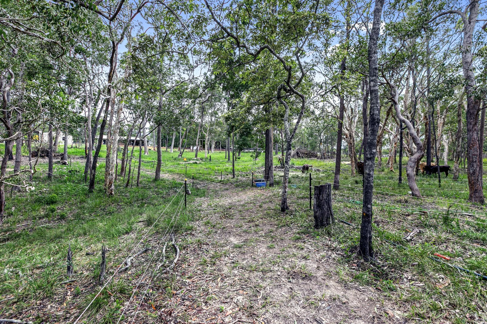 Additional image 28 of 77 Oxford Street, Bidwill QLD 4650