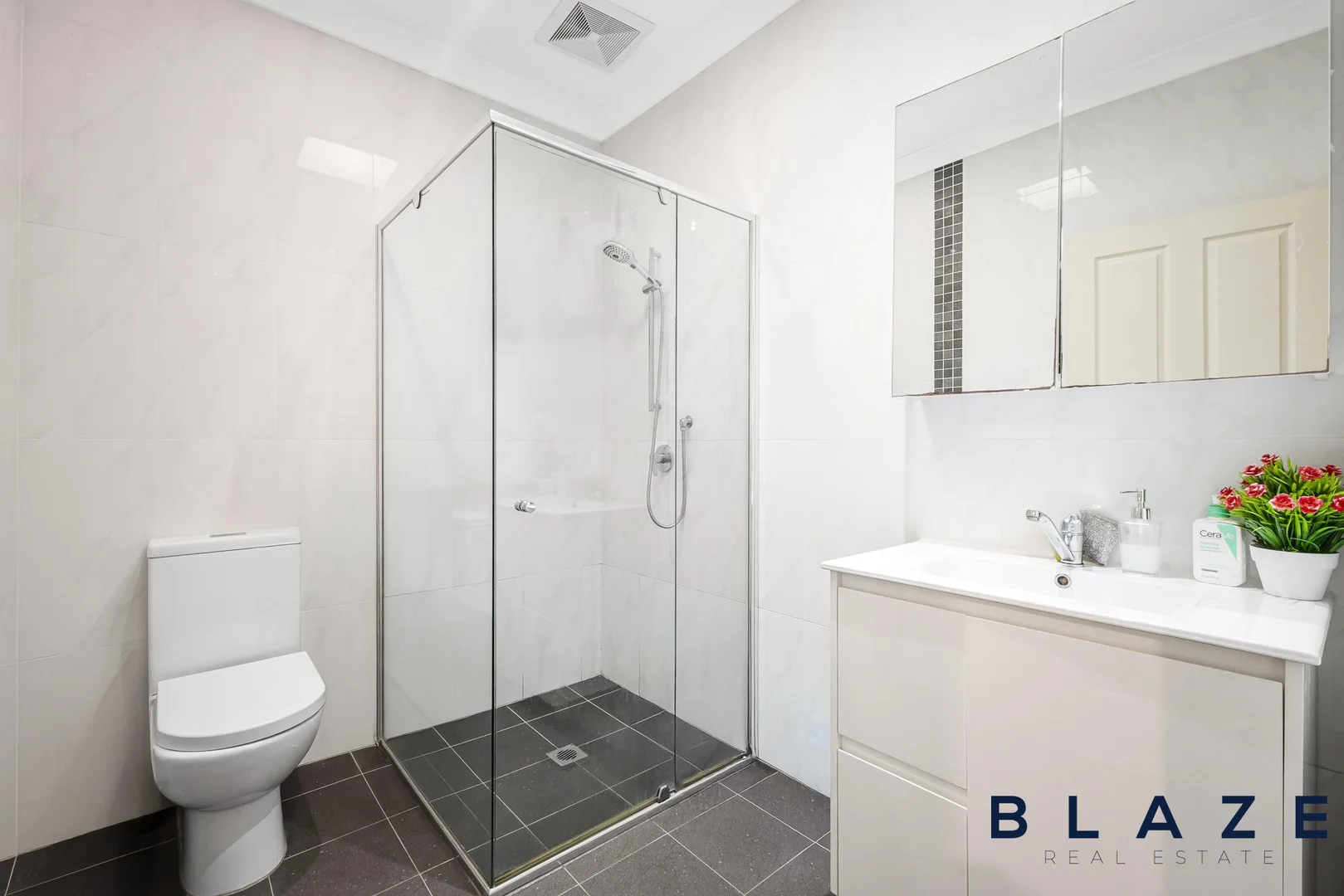 Additional image 11 of 11 Vineyard Avenue, Smithfield NSW 2164