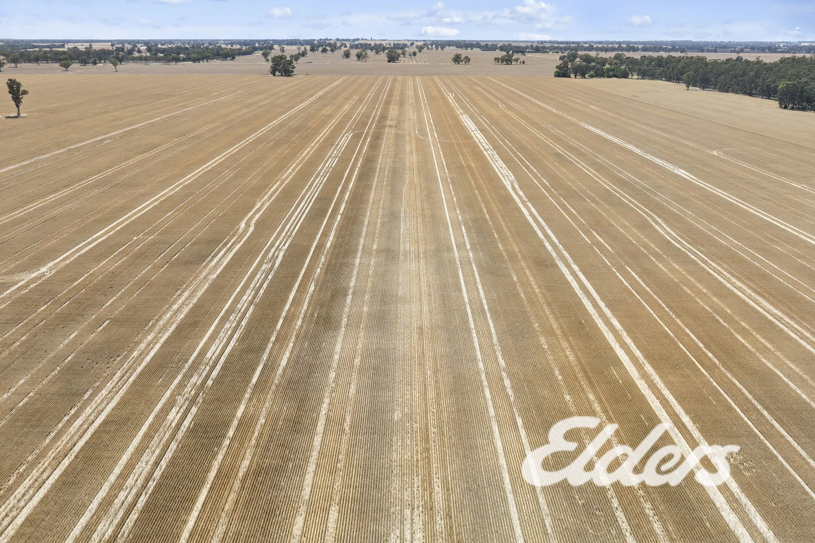 Additional image 9 of 381 Old Wilby Road, Yarrawonga VIC 3730