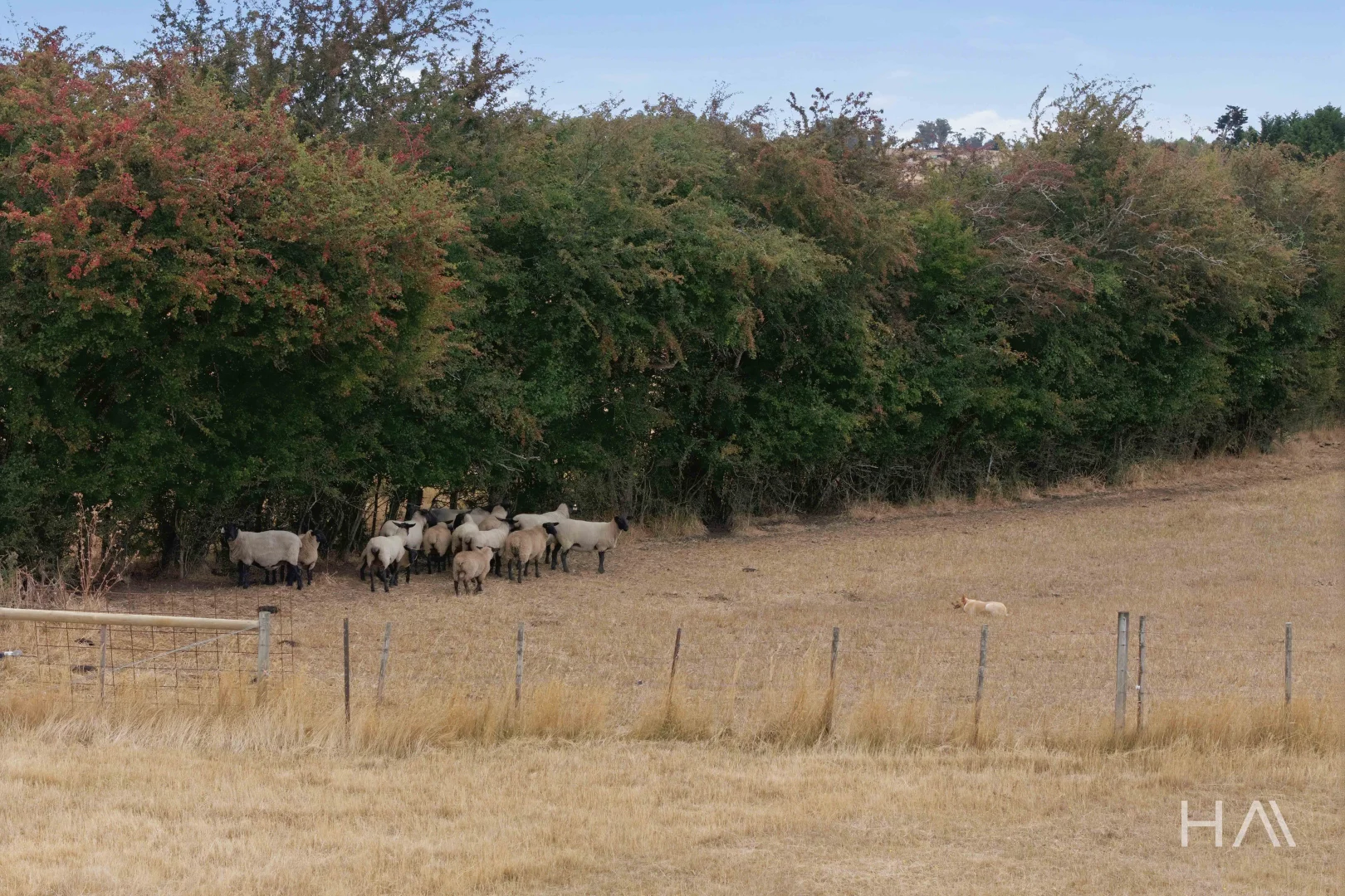 Additional image 20 of 104 Mary Street, Westbury TAS 7303