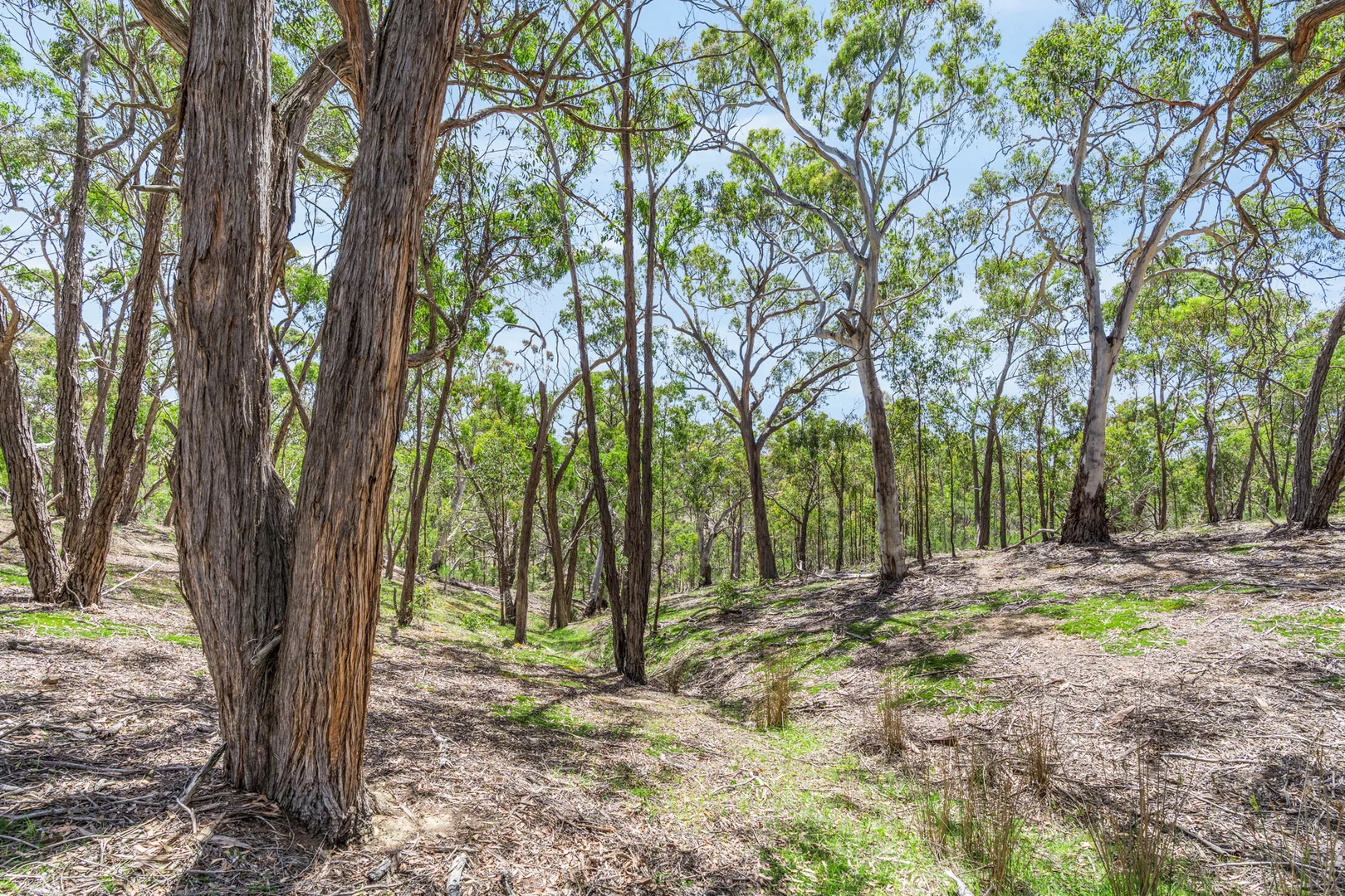 Additional image 6 of 5 Atchison Road, Morrisons VIC 3334