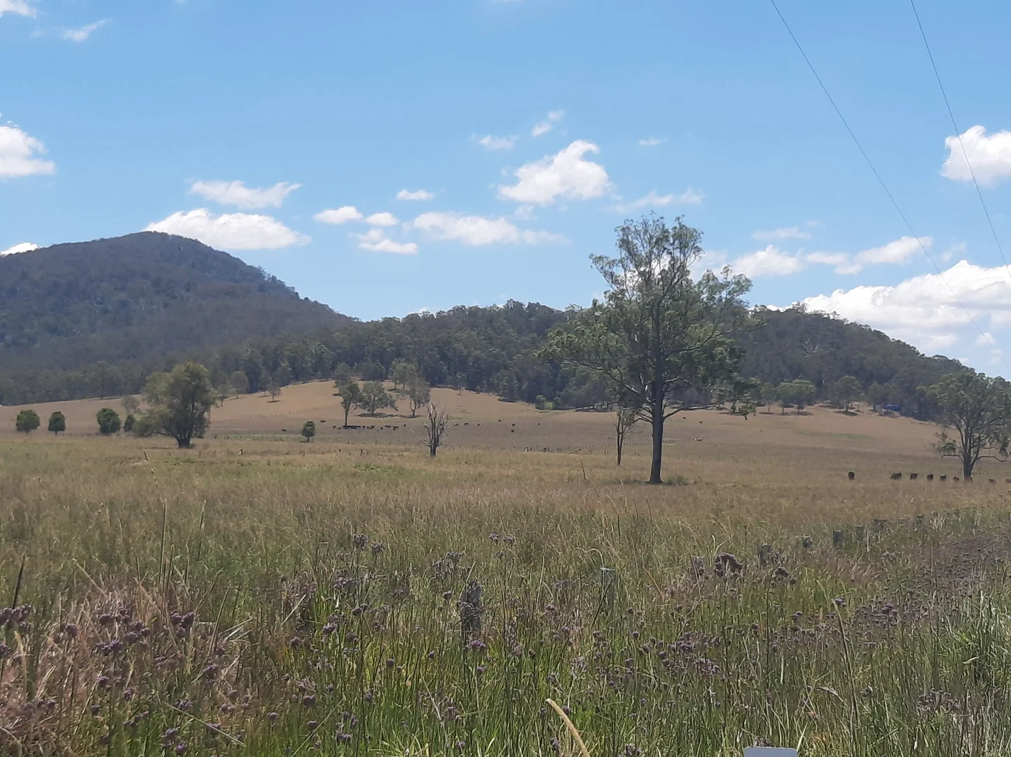 Additional image 32 of 119 Woosters Lane, Nabiac NSW 2312