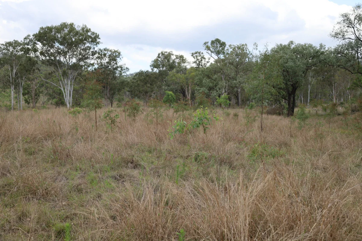 Additional image 18 of 479 Pine Mountain Creek Road, Monto QLD 4630