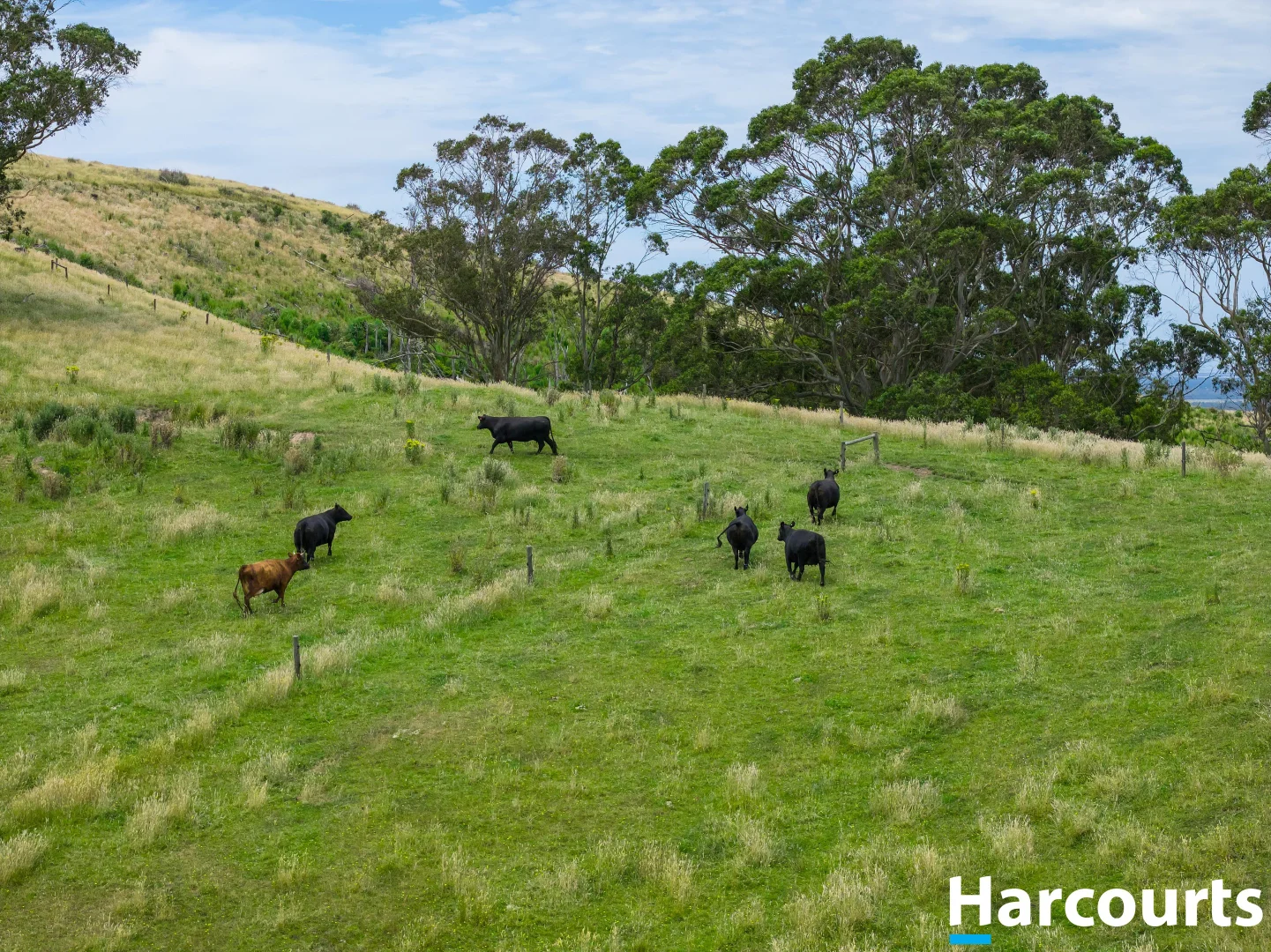 Additional image 27 of 570 Woorarra Road, Welshpool VIC 3966