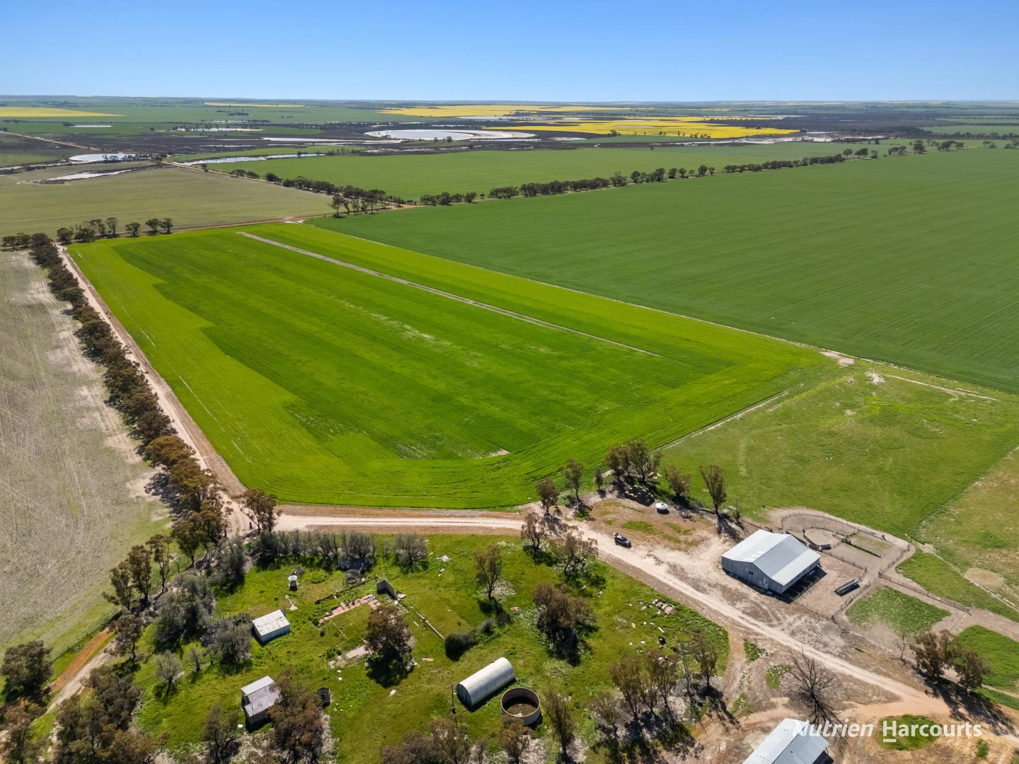 Additional image 5 of . 'Lydford' and 'Lees', Dowerin WA 6461