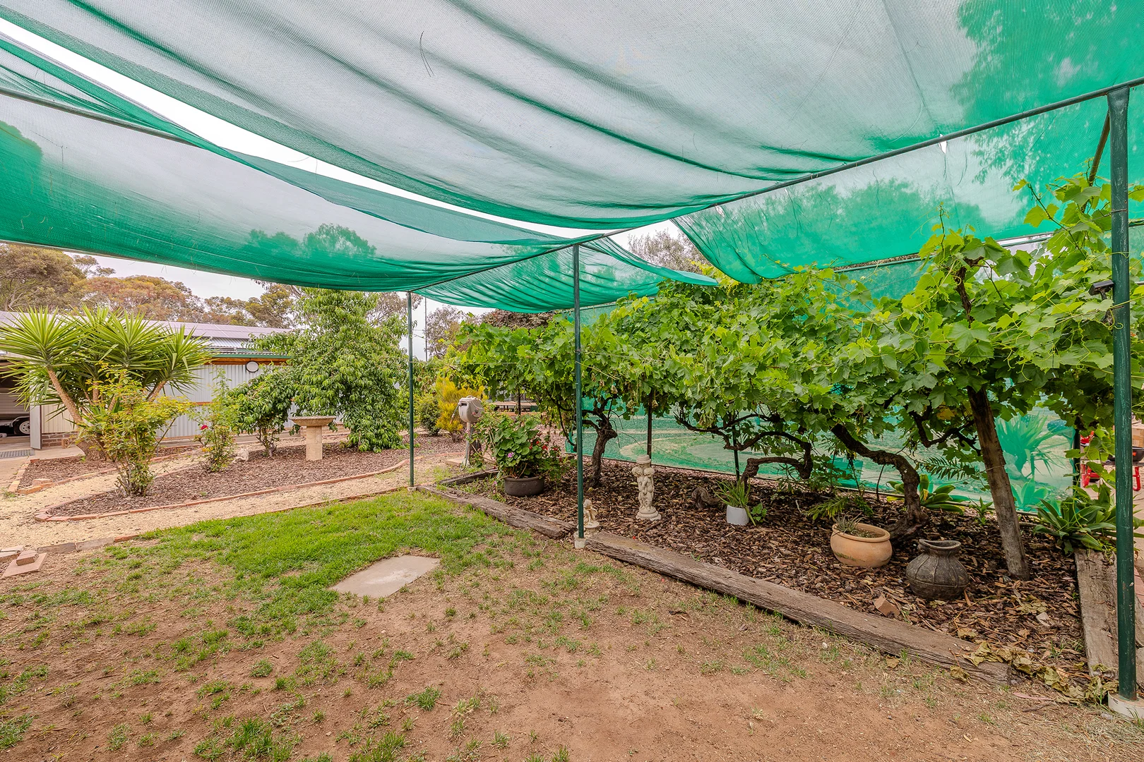 Additional image 16 of 36 Deakin Street, Beulah VIC 3395