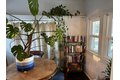 Additional image 4 of 85 Birch Ave, Princeton, NJ, 08542