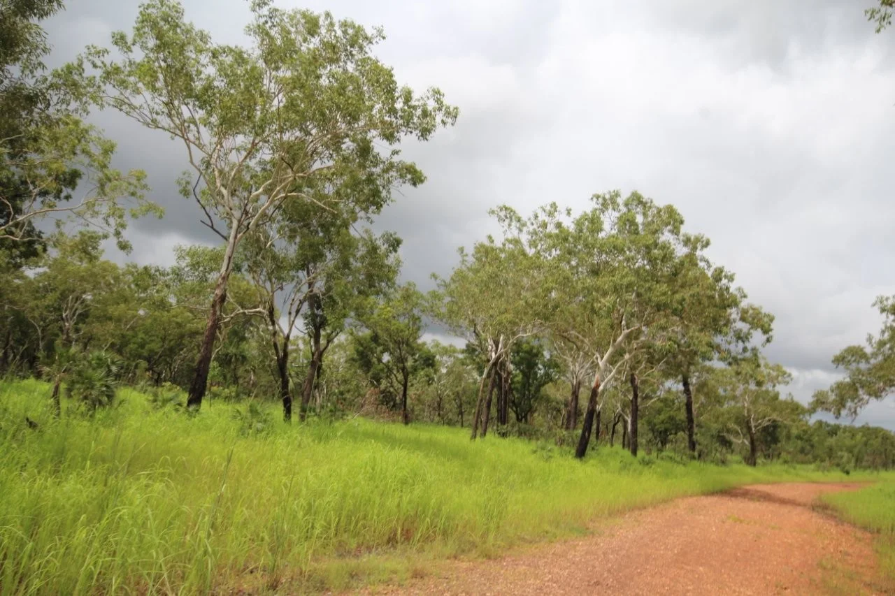 Additional image 11 of 2936 Litchfield Park Road, Charlotte NT 0822