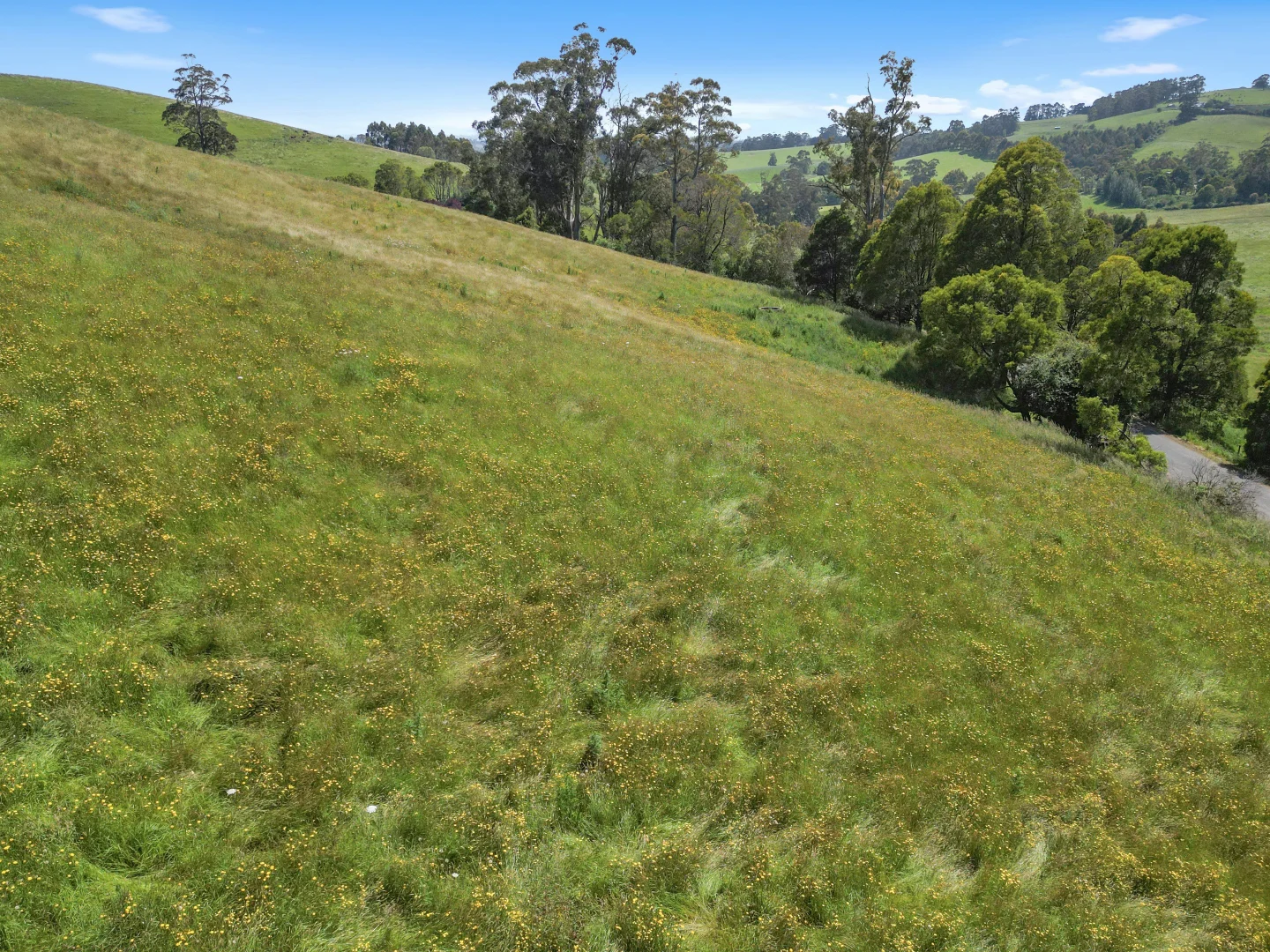 Additional image 5 of 1/2045 Lardners Track, Torwood VIC 3821