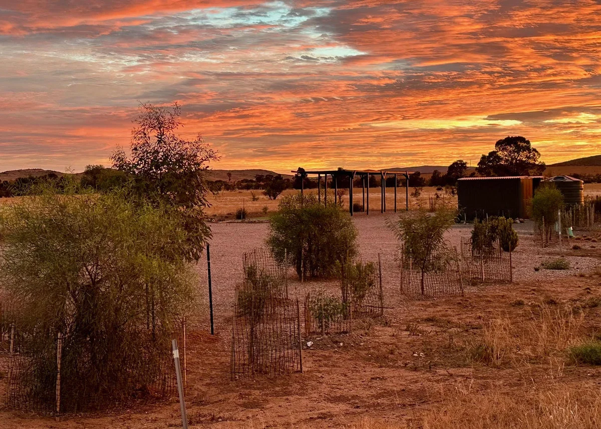 4 Rademaker Road, Carrieton SA 5432