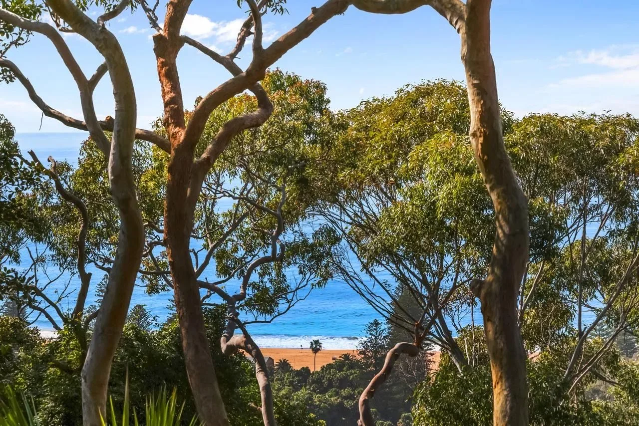 Additional image 3 of Lot 6, 5A Wollombi Road, Bilgola Plateau NSW 2107