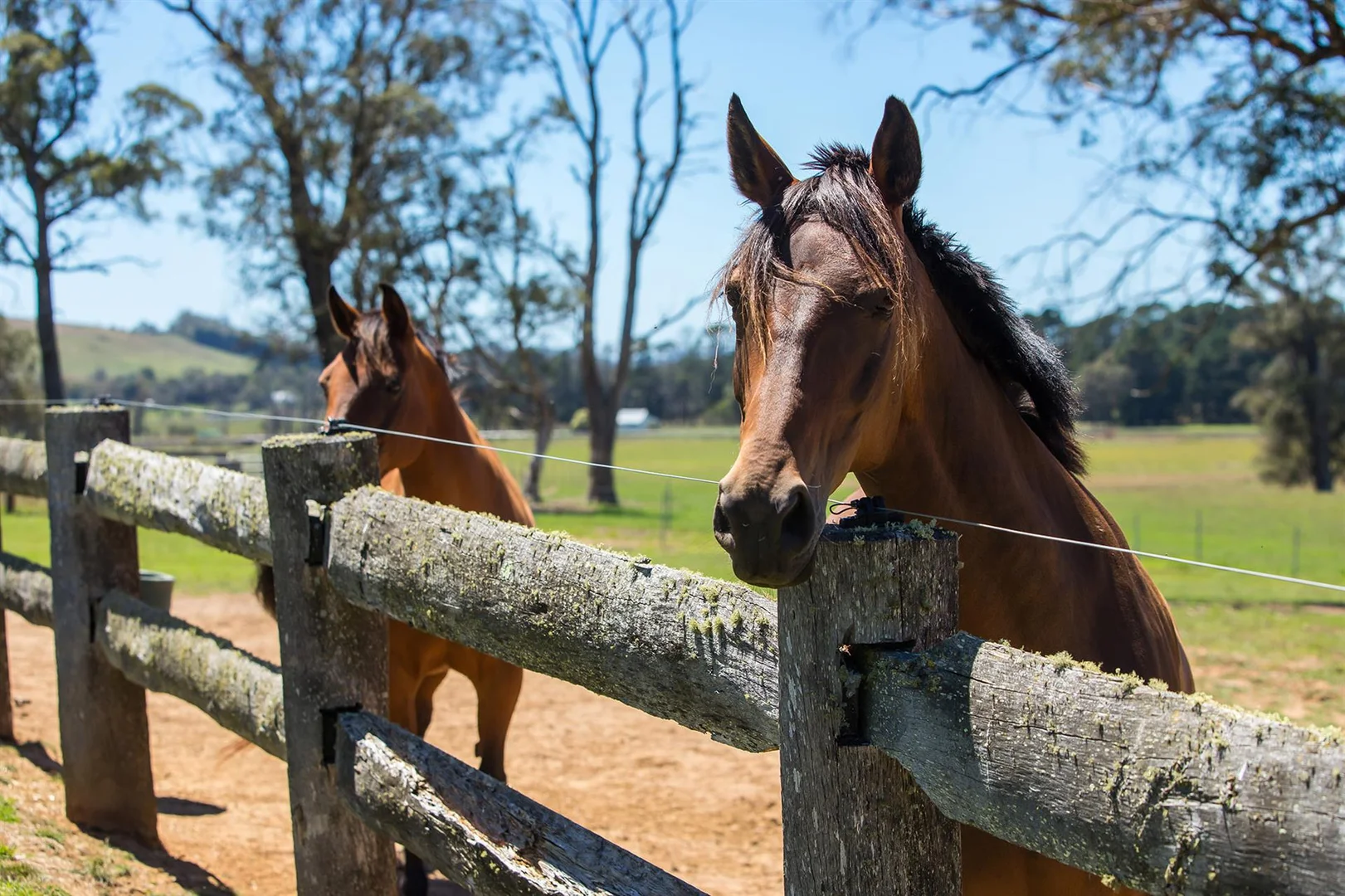 Additional image 23 of 80 Burnhams Lane, Exeter NSW 2579