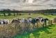 Additional image 28 of 1 Craighouse, by Crosshouse, Kilmarnock, KA2 0EL