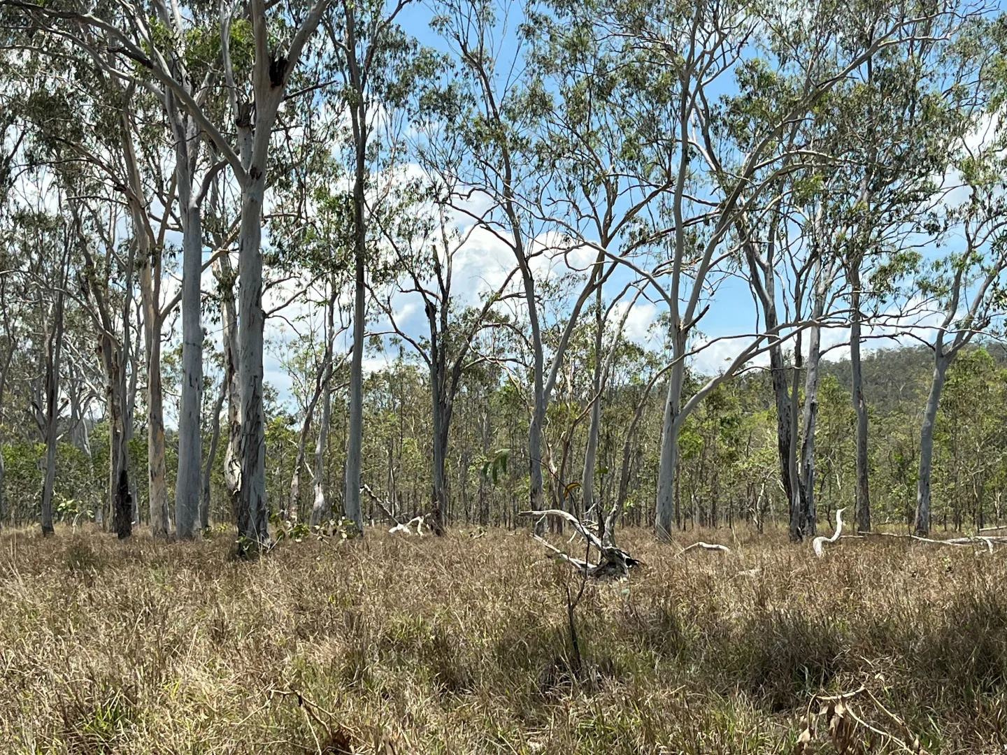 Additional image 31 of Blunder Park Station 382 Blunder Park Road, Ravenshoe QLD 4888