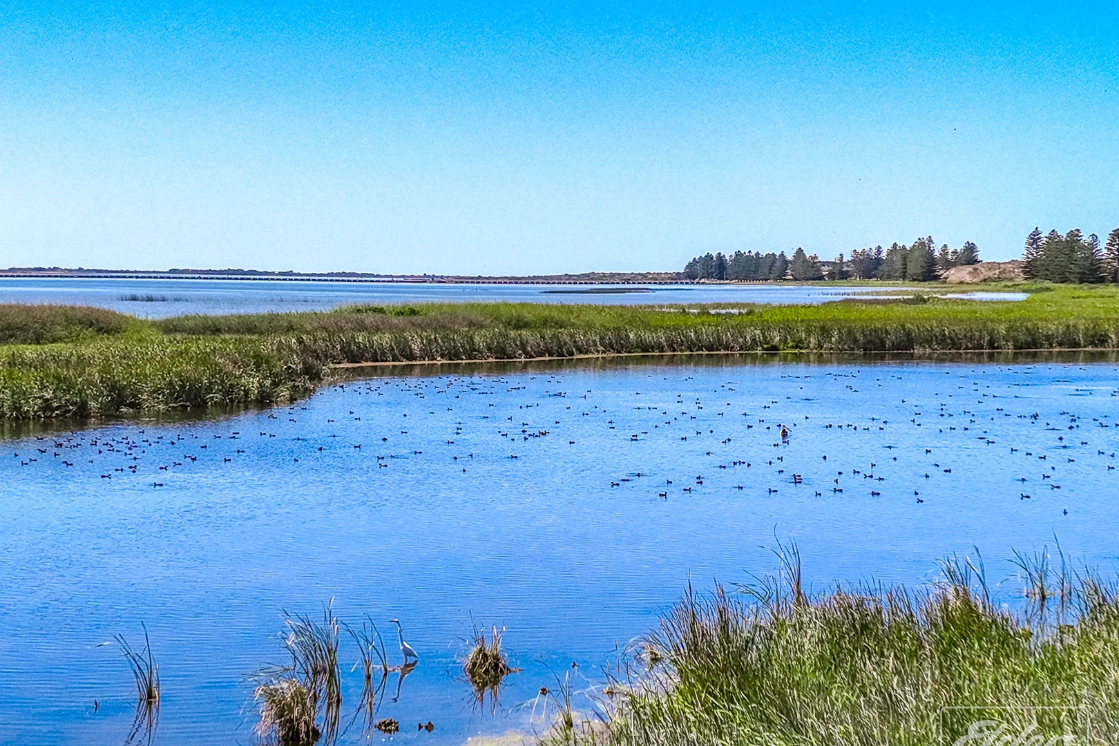 Additional image 27 of 5 Barrage Road, Goolwa South SA 5214