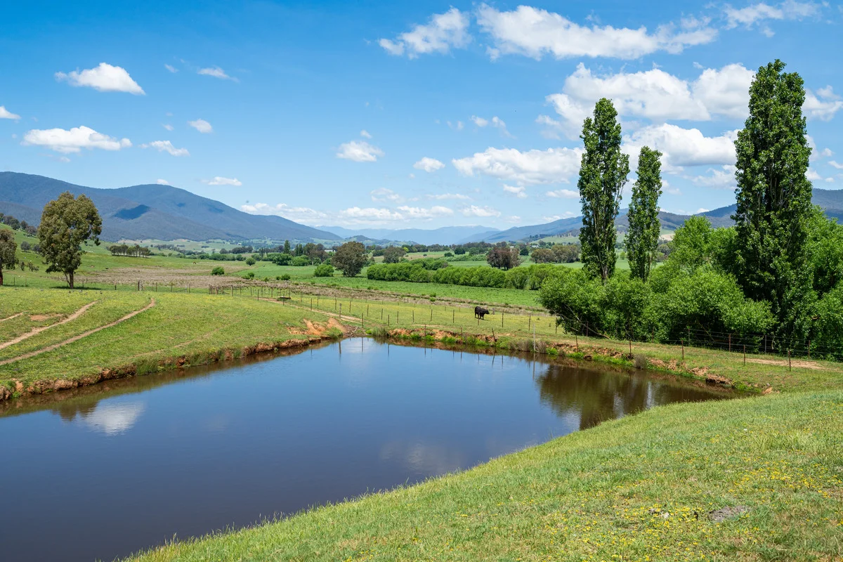 Additional image 12 of Swamp Lane, Dederang VIC 3691