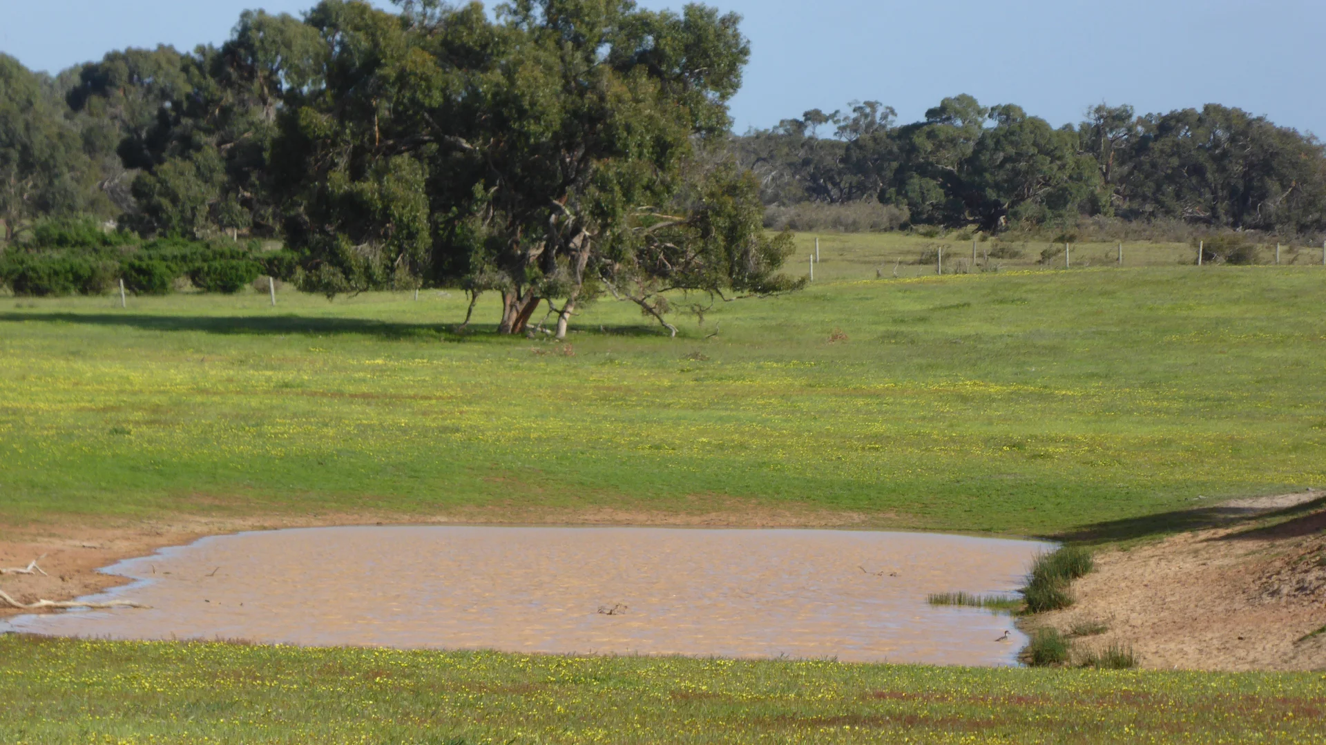 Additional image 11 of 2448 Bangham Road, Frances SA 5262